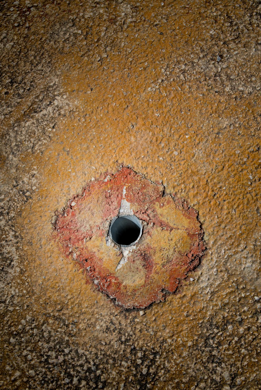 Don’t go down that rabbit hole                  Wednesday, July&nbsp;9th